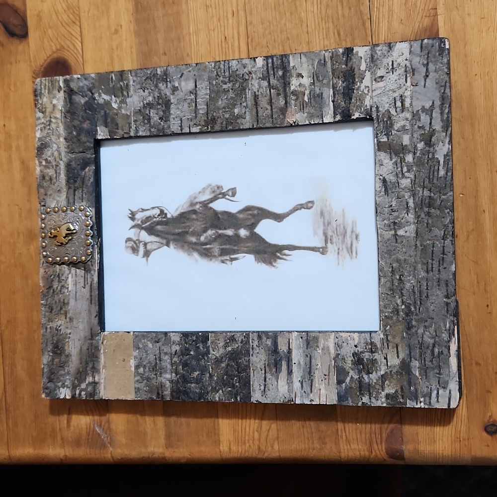 University of Wyoming Cowboys 🤠 Bark Frame Hanging Picture "Rainbow" 9.5x7 5/8"